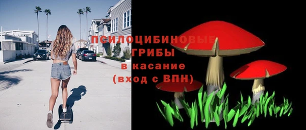 соль ск Абаза