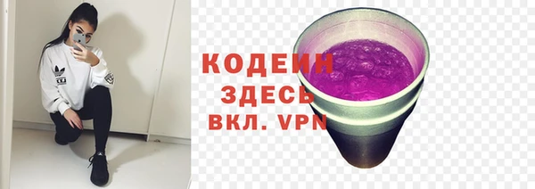 соль ск Абаза