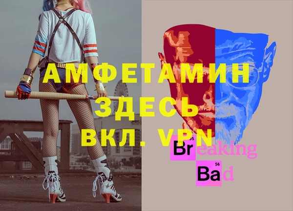 соль ск Абаза
