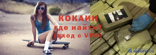 соль ск Абаза